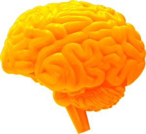 The Brain in orange freigestellt